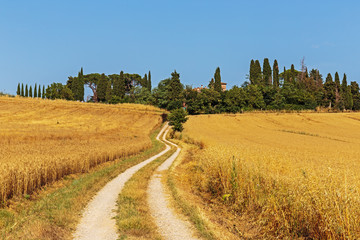 Fototapeta premium deserted country road in Italy