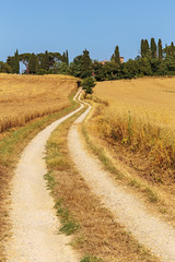 Fototapeta na wymiar deserted country road in Italy
