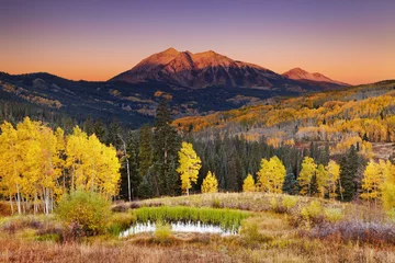 Foto op Canvas Autumn mountain landscape, Colorado, USA © Dmitry Pichugin