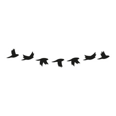 Birds flying in the sky
