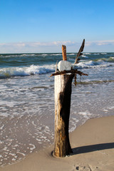Holzpfahl im Sand am Strand, Ostsee, Reisen, Urlaub, Erholung