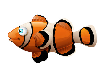 Clown fish