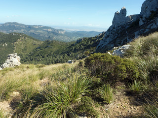 Fototapeta na wymiar Wanderung durch die Serra de Tramuntana auf dem GR221