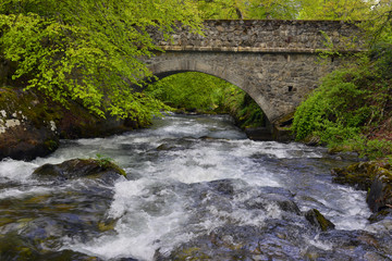 Fototapeta na wymiar Pont de pierres sur un torrent de la réserve d'Orlu dans les Pyrénées ariégeoises, département de l'Ariège en région occitanie, France 