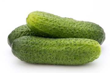 The first spring ecologically cucumbers.