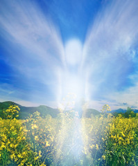 Abstract angel over the rape flowers field in summer season