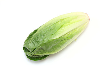 ロメインレタス