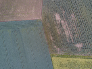 Aerial view of agricultural field with traces