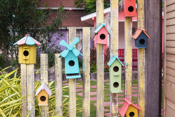 Bird house made of wood and painted colorful