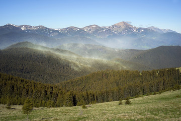 Clouds of coniferous pollen in the Carpathians