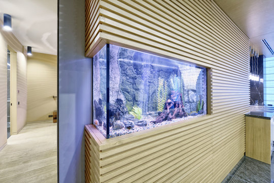 Aquarium in the interior of modern apartment