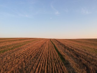 Поле осенью