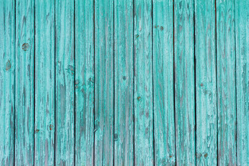 The background. Texture. Wooden texture. Natural background. Natural background. Natural texture. Bark of tree. Boards
