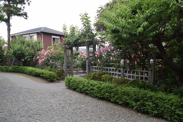 バラ園