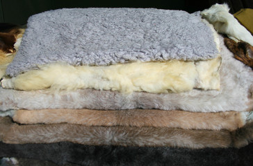 Furs for sale,  hides