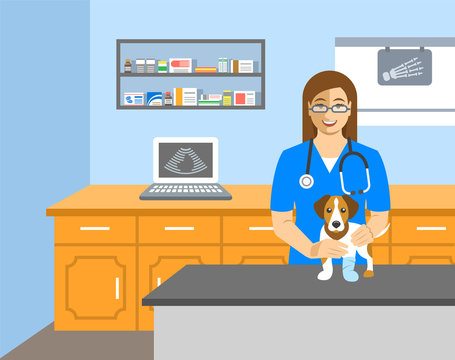 Veterinarian doctor holds dog on examination table in vet clinic. Vector cartoon illustration. Pets health care background. Domestic animals treatment concept. Veterinary professional consultation