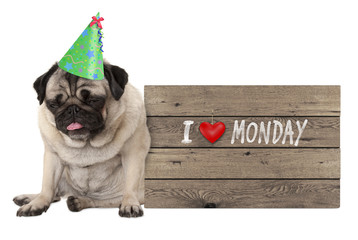 fed up pug puppy dog wearing party hat, sitting down next to wooden sign with text I love monday,...