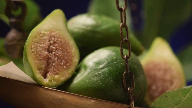 Ficus carica &Sigma;&upsilon;&kappa;&iota;ά Echte Թուզ Feige Fichi 무화과나무 अंजीर Obična انجیر smokva תאנה Vijgenboom 
 Figowiec Fiku pospolity Common fig Инжир Figos Vả t&acirc;y 無花果 İncir تين شائع 