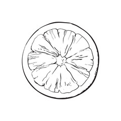 Top view round slice, half of ripe grapefruit, orange, black and white sketch style vector illustration on white background. Hand drawn grapefruit cut in half, round slice