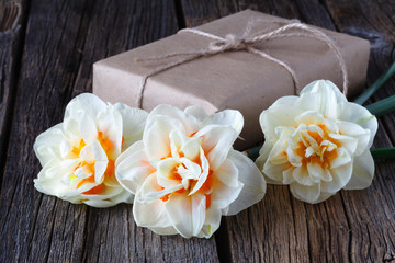 Narcissus flowers bouquet