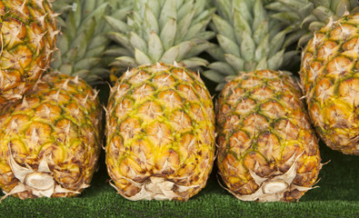 ananas fruit exotique