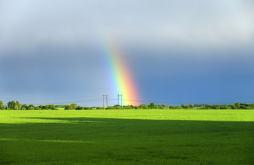  landscape with green meadow and a bright rainbow far away in the sky