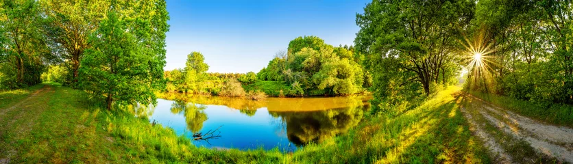 Photo sur Plexiglas Rivière Paysage en été avec rivière, soleil, chemin et forêt