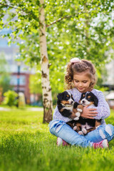 Naklejka na ściany i meble Little girl with a berner sennenhund puppies, outdoor, summer