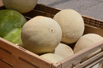 Cantaloupe and watermelon in crate at farmer's market © merrimonc