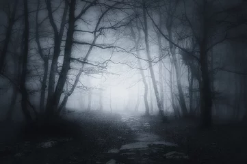 Deurstickers pad in donker en eng bos © mimadeo