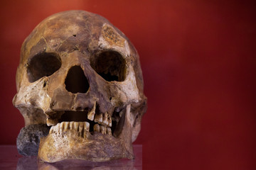 Human skull with dark background. Concept of death, horror and anatomy. Spooky halloween symbol.