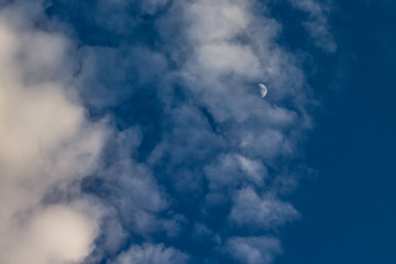 Fototapeta na wymiar Luna diurna