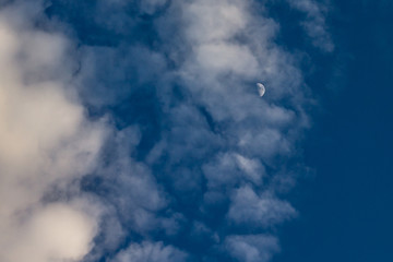 Luna diurna