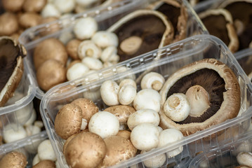 Mushroom Selection