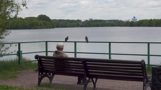 Indefinite person sits on a bench near the Moscow River in Kolomenskoye Park. Realtime 4k video