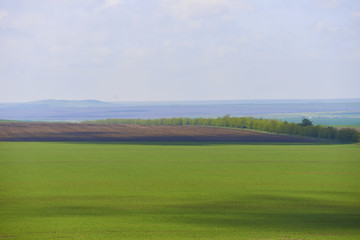 New field for golf. Top view on golf course in summer day. Place for green vegetables far in the horizon. Farm lands for cows or another animals. Copy space for advertising fresh and healthy food.