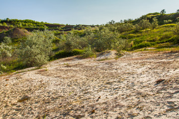 Ukrainian steppe in the spring
