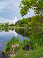 pond in the scottish countryside