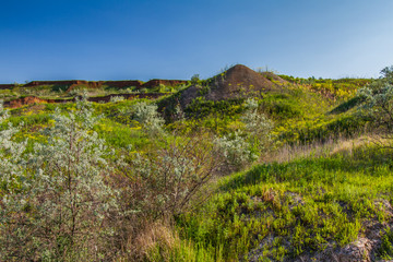 Fototapeta na wymiar Ukrainian steppe in the spring