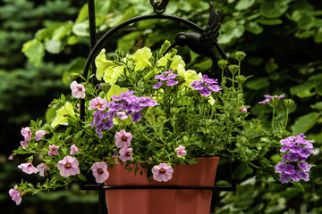 bouquet of colorful flowers in red pot hanging from metal hummingbird hanger with green leaf background