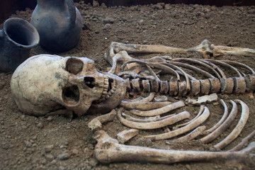 Archaeological excavations of an ancient human skeleton and human skull