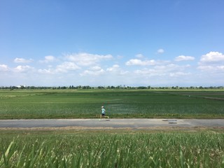 Man running on country road throigh rice fields