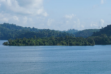 tree in ratchaprapha dam,Thailand