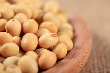soybean