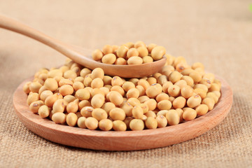 soybean