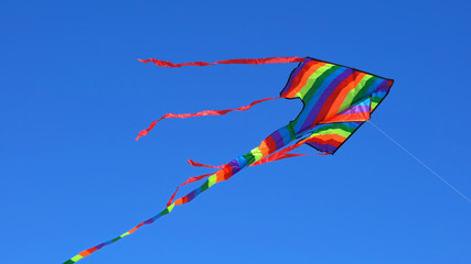 Colorful rainbow kite flying