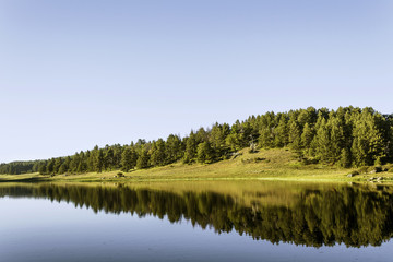 Tree Lined Horizon Reflected In Water Below