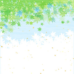 青もみじ　和紙風　バックグラウンド