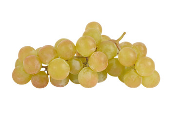 Cluster of green grapes