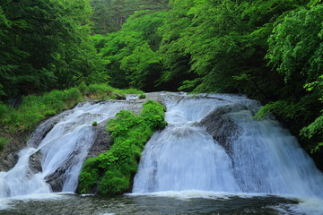 Fototapeta na wymiar 夏の釜淵の滝